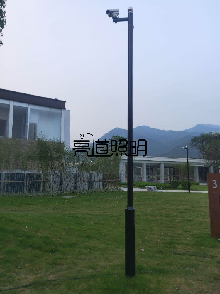 监控杆立杆厂家