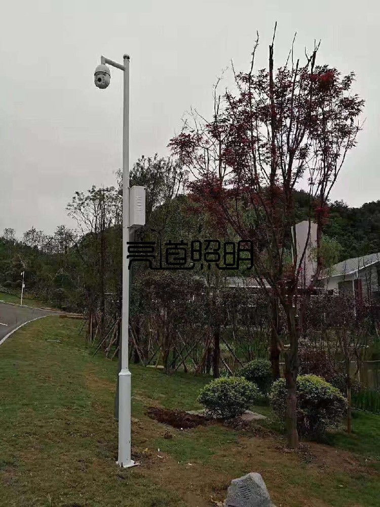 室外监控立杆 球机监控杆 配室外防水箱